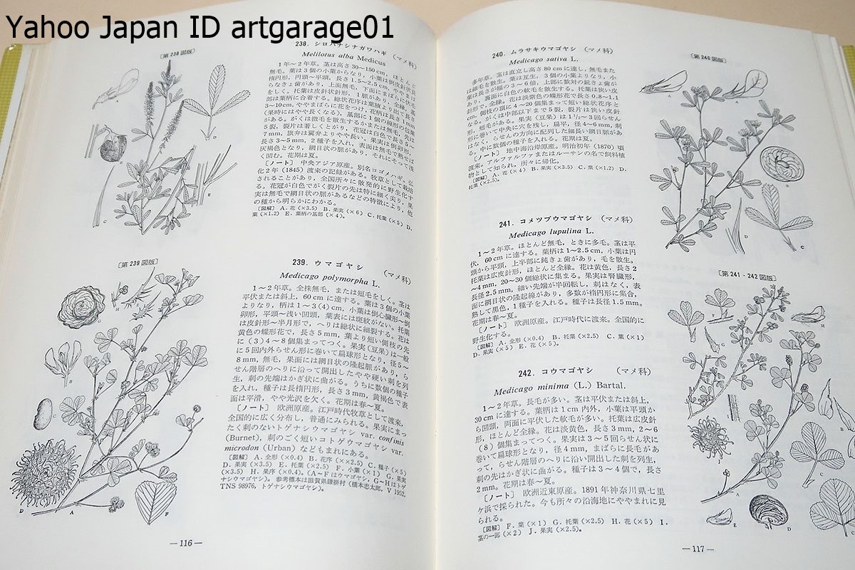 日本帰化植物図鑑・Illustrated Japanese Alien Plants/長田武正/他の種の条下に附記したものまで加えると合計532種・24変種・21品種となる_画像8
