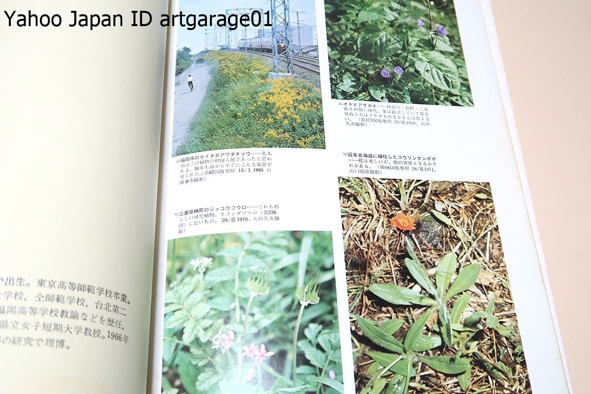 日本帰化植物図鑑・Illustrated Japanese Alien Plants/長田武正/他の種の条下に附記したものまで加えると合計532種・24変種・21品種となる_画像2