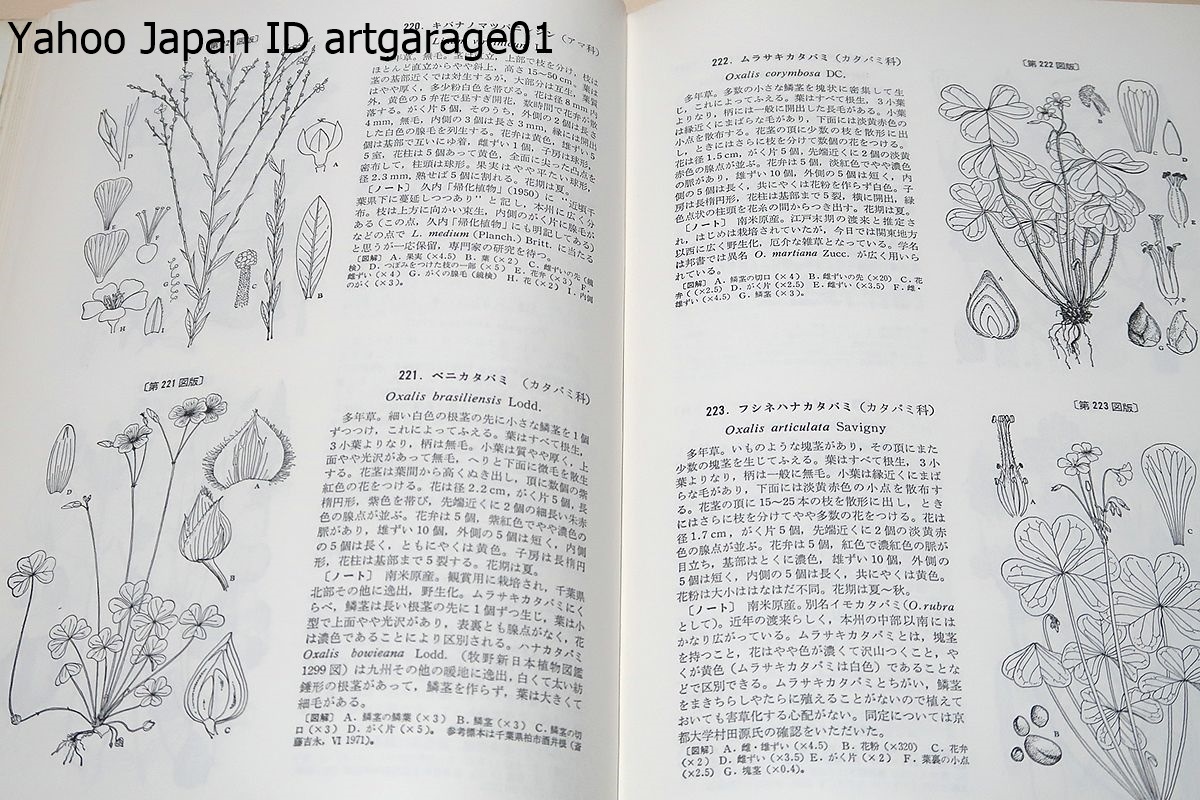 日本帰化植物図鑑・Illustrated Japanese Alien Plants/長田武正/他の種の条下に附記したものまで加えると合計532種・24変種・21品種となる_画像7