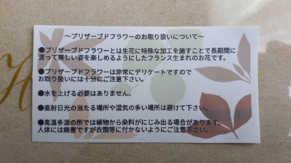 プリザーブドフラワー クリアケース入り フレームアレンジ 正方形 ブルー 誕生日 母の日 結婚祝 新築祝 ギフトに Yahoo Japan Auction Bidding Amp Shopping Support Deputy Service Japamart プリザーブドフラワー クリアケース入り フレームアレンジ 正方形 ブルー 誕生日 母の日 結婚祝 新築祝 ギフトに Yahoo Japan Auction Bidding Amp Shopping Support Deputy Service Japamart