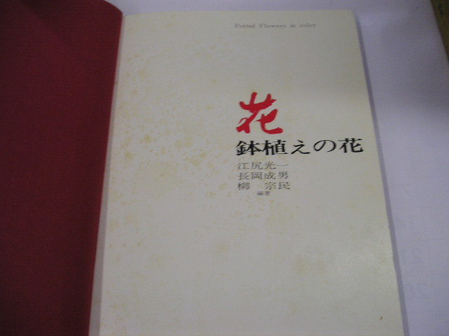 [ flower ]( potted plant. flower ).. light one / Nagaoka . man /... also work Showa era 45 year every day newspaper company .