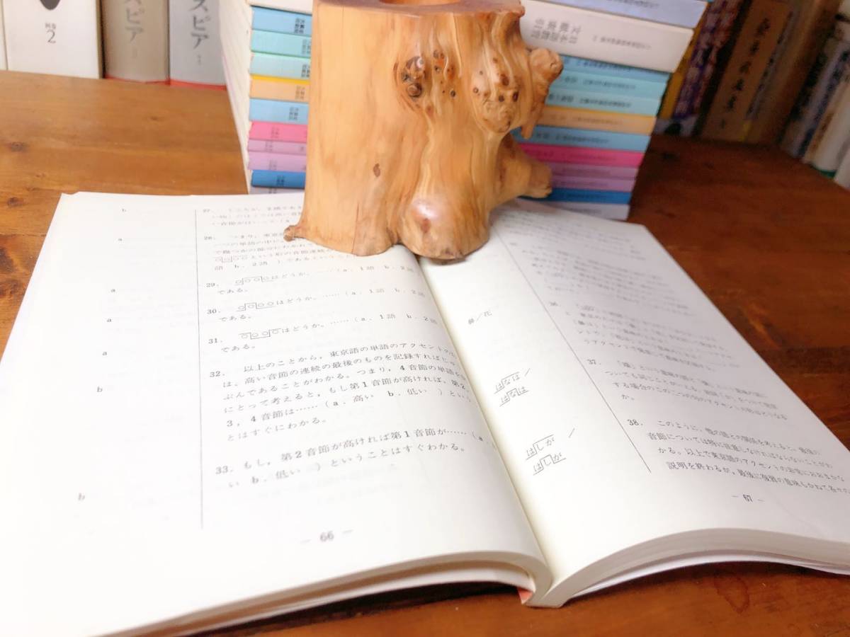 絶版!! 日本語教育指導参考書 全21冊揃 国立国語研究所 検:寺村秀夫