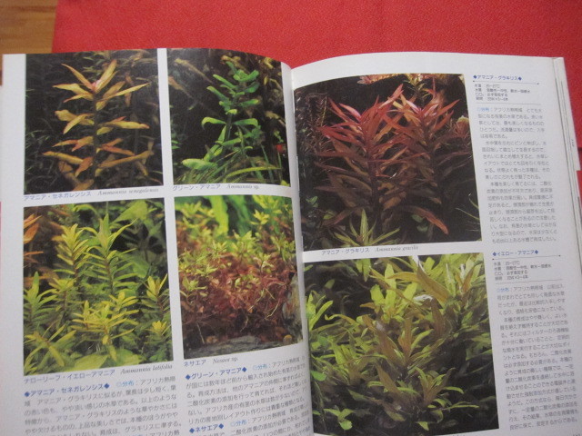 ☆決定版  水草大図鑑  ＴＨＥ ＣＯＭＰＬＥＴＥ ＥＮＣＹＣＬＯＰＥＤＩＡ ＯＦ ＷＡＴＥＲ ＰＬＡＮＴＳ   【趣味・アクア】の画像10