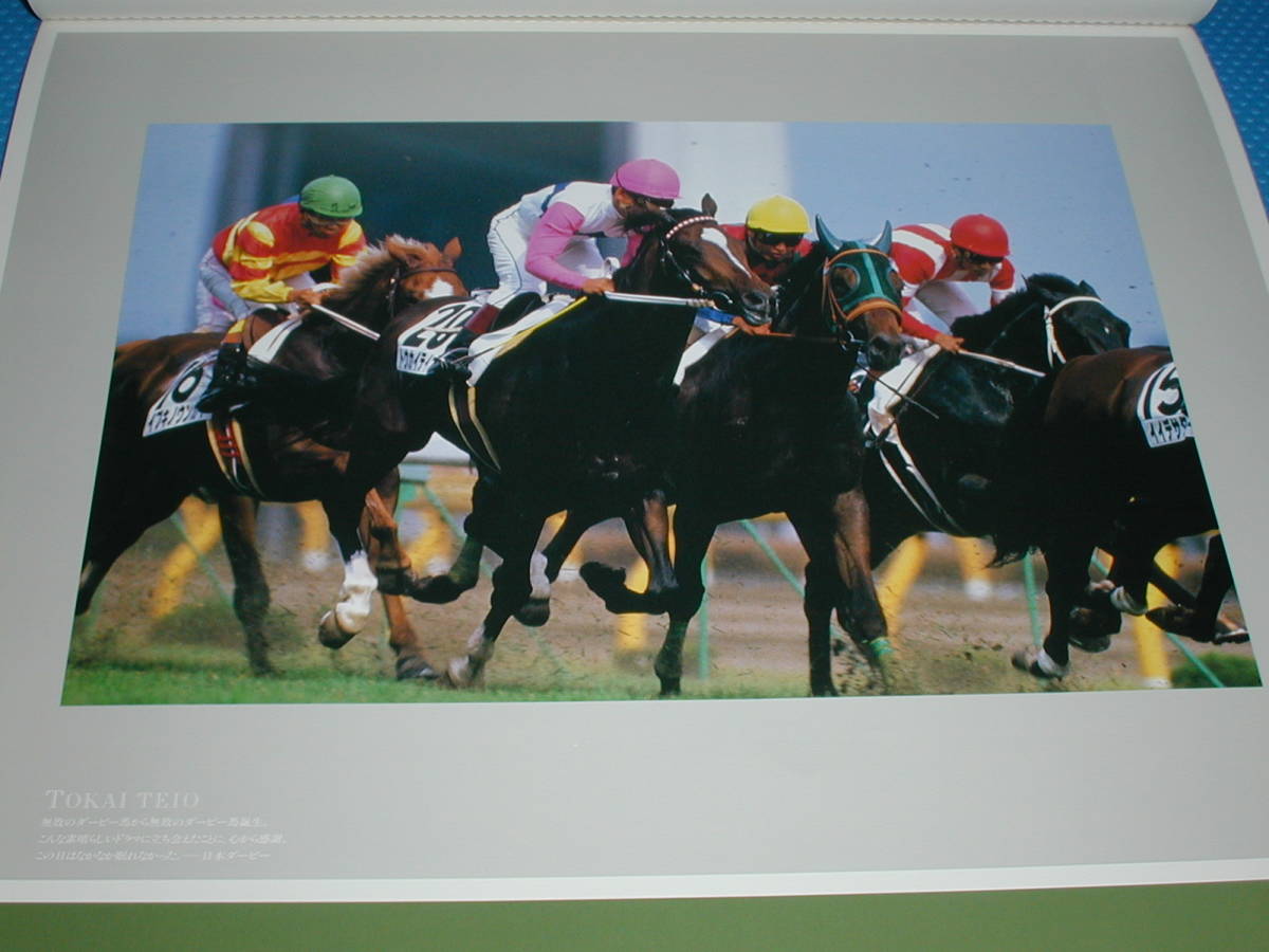 =*1992 year horse racing / calendar / Tokai Tey o-/mejiro Ryan /mejiro McQueen / new goods 