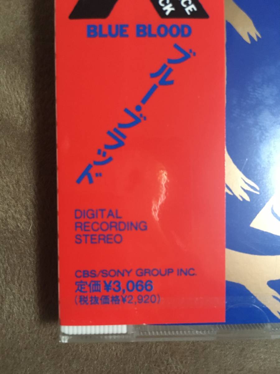 X エックス BLUE BLOOD ブルー・ブラッド 1989年作品/CBSソニー X エックス BLUE BLOOD ブルー・ブラッド 1989年作品/CBSソニー