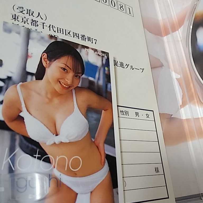 東　琴乃　DVD プチエンジェル_画像3