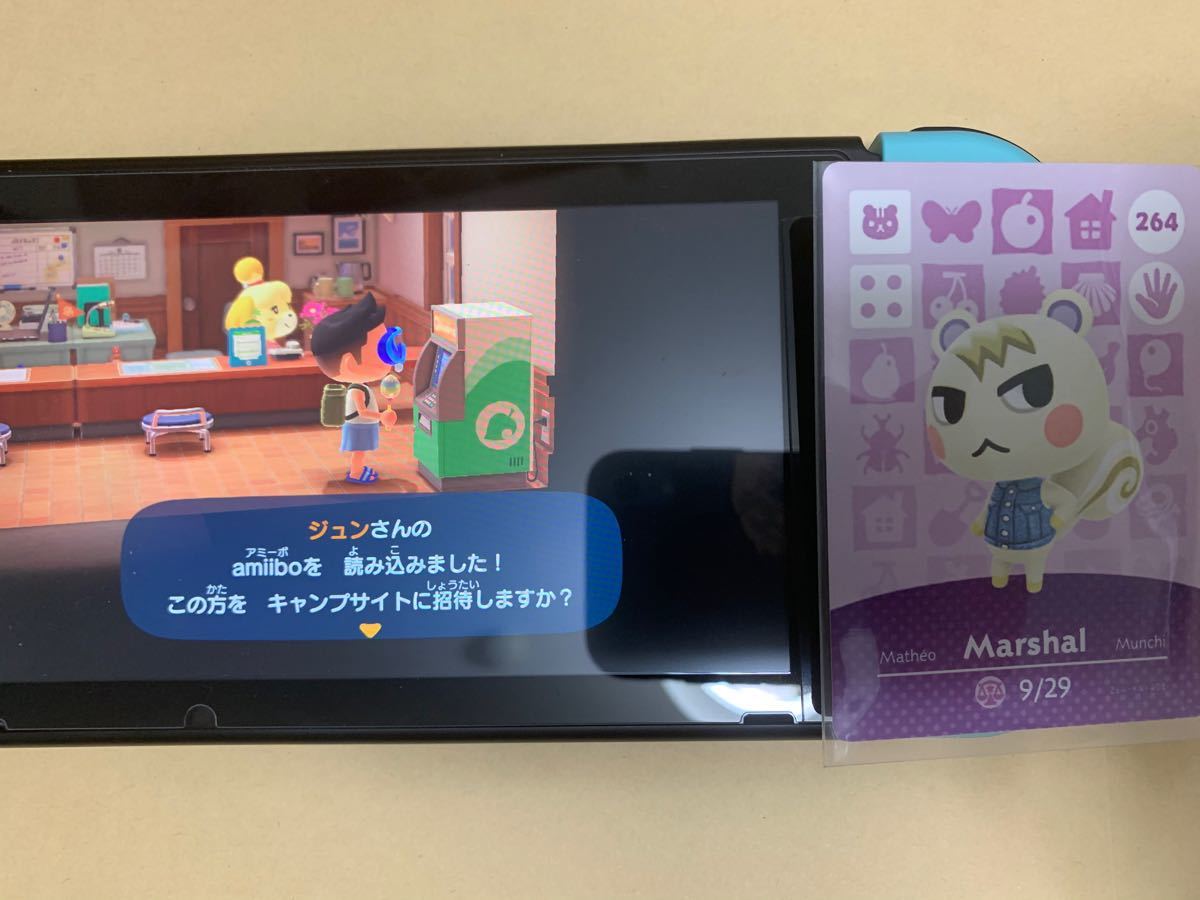 Paypayフリマ どうぶつの森amiibo ジュン Paypayフリマ どうぶつの森amiibo ジュン