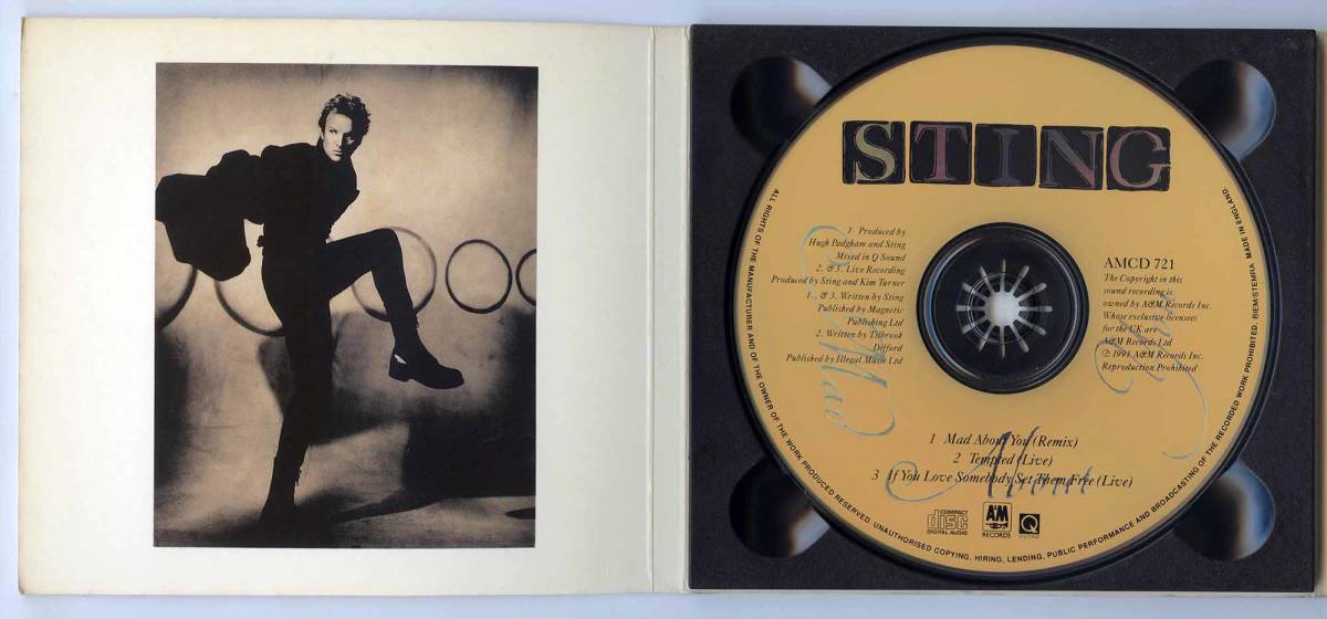 Sting（スティング）CDシングル「Mad About You」UK盤オリジナル デジパック AMCDR 721 限定盤シリアル番号付き 03247_画像3