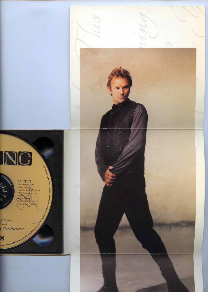 Sting（スティング）CDシングル「Mad About You」UK盤オリジナル デジパック AMCDR 721 限定盤シリアル番号付き 03247_画像7