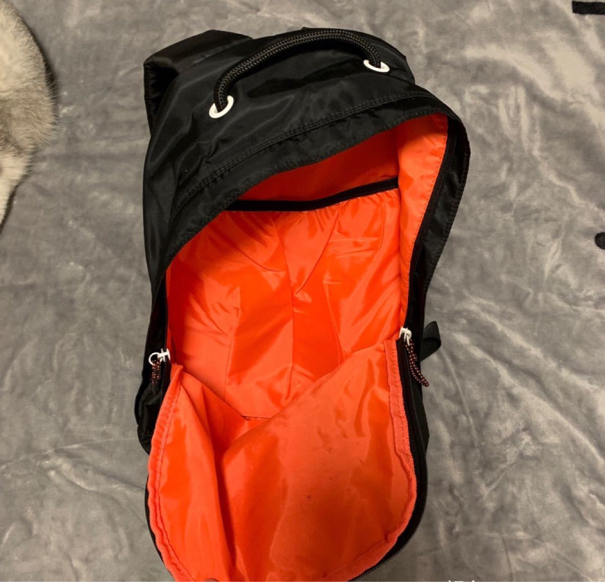 高い素材】 新品未使用 極度乾燥 Superdry リュック バックパック タグ