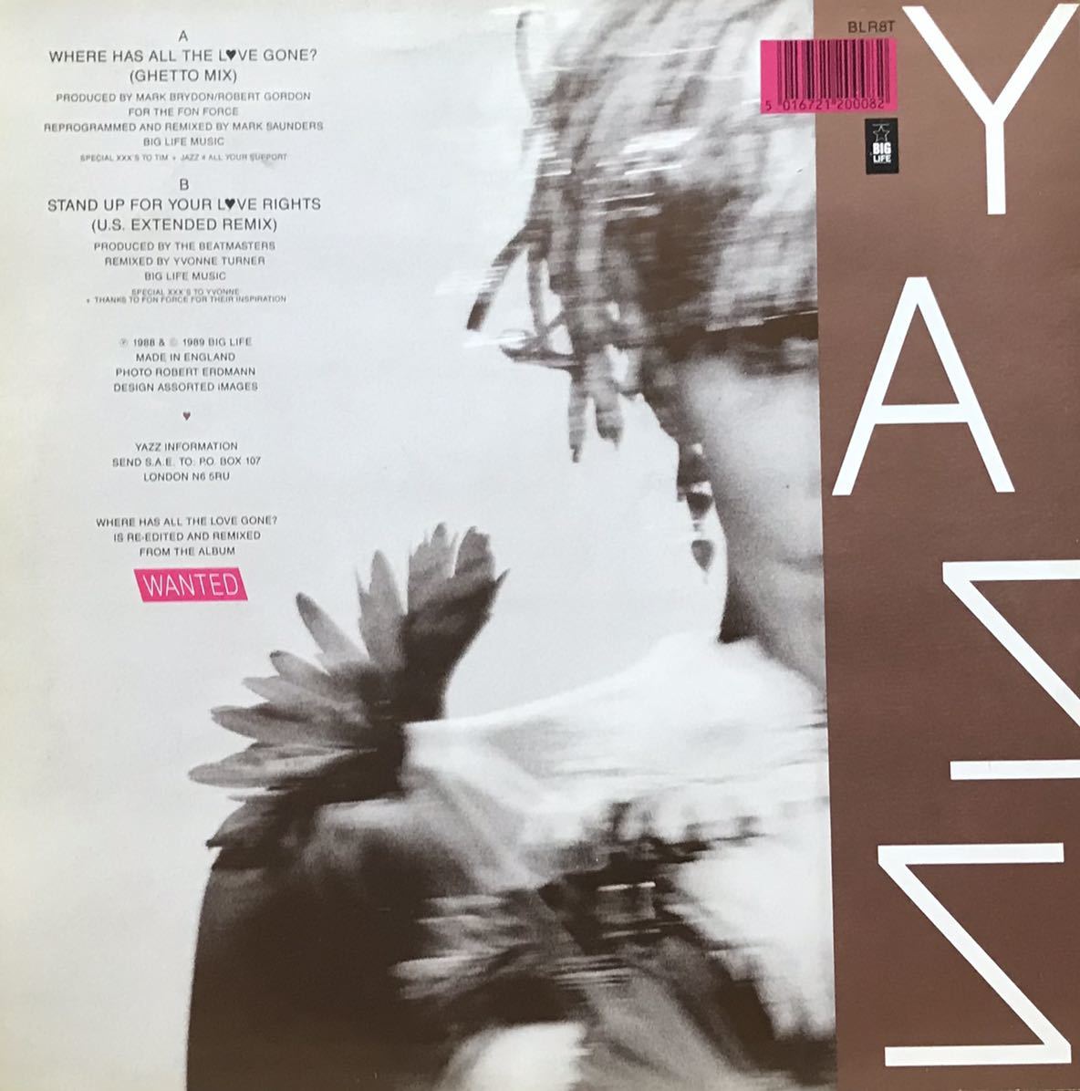 YAZZ / STAND UP FOR YOUR LOVE RIGHTS (US.EXTENDED REMIX)収録 12inchレコード その他にもプロモーション盤 人気レコード 多数出品中_画像2