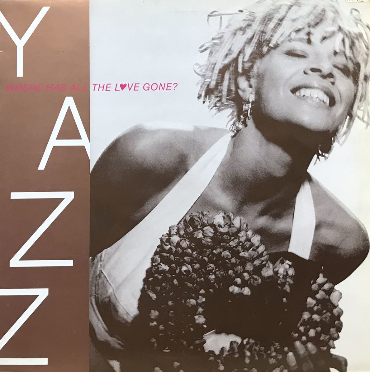 YAZZ / STAND UP FOR YOUR LOVE RIGHTS (US.EXTENDED REMIX)収録 12inchレコード その他にもプロモーション盤 人気レコード 多数出品中_画像1