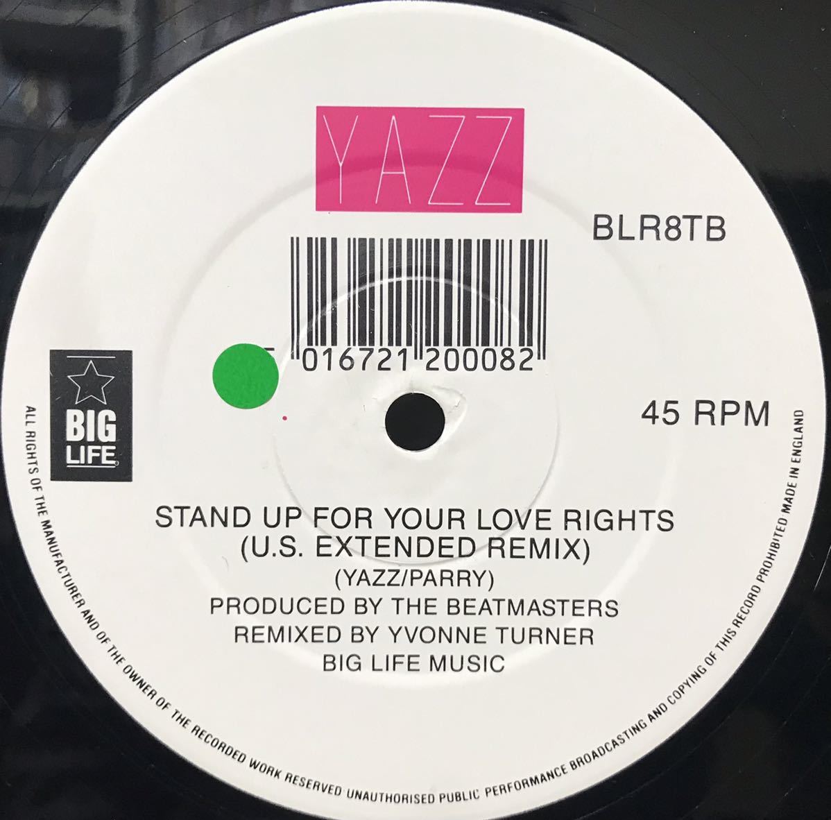 YAZZ / STAND UP FOR YOUR LOVE RIGHTS (US.EXTENDED REMIX)収録 12inchレコード その他にもプロモーション盤 人気レコード 多数出品中_画像4