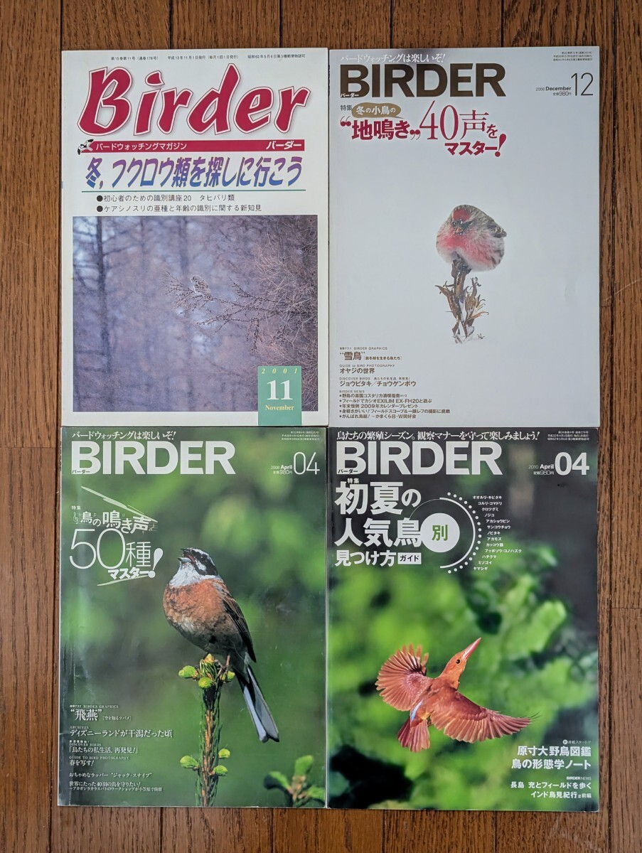 ■Birder 野鳥専門誌 バーダー 4冊セット■99-1118_画像1