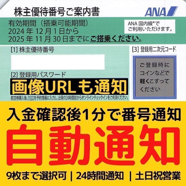 1分自動通知 365日24時間対応 番号&画像W通知 ANA 株主優待券 1枚〜9枚 25年11月末 発送不可 2枚3枚4枚5枚6枚7枚8枚 全日空 AN111_画像1