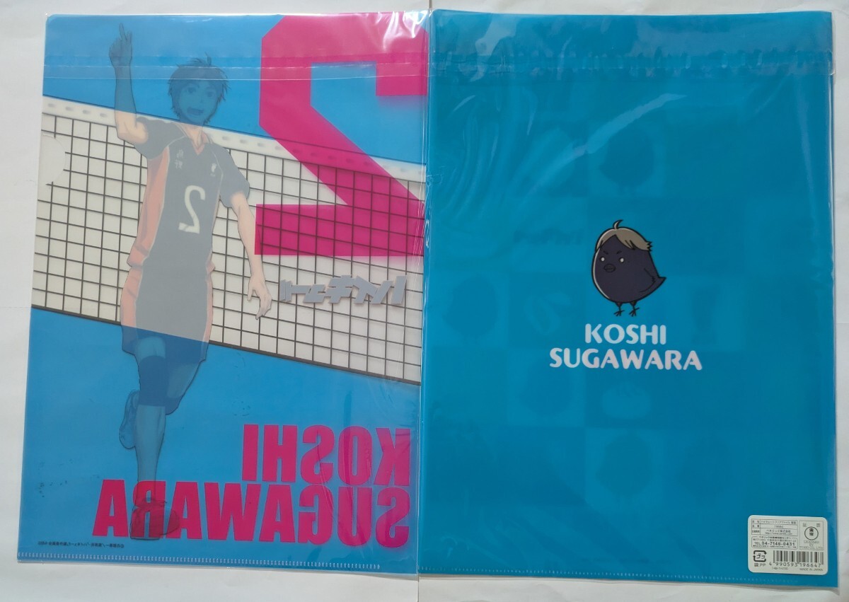  Jump магазин ограничение * Haikyu!!!!*A4 прозрачный файл 2 шт. комплект *... главный /hina стекло 