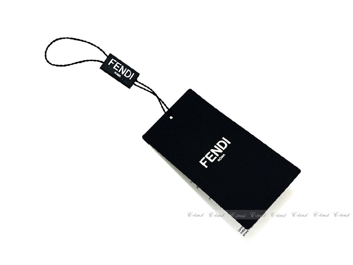 L172-BK-II.. FENDI Fendi чулки женский нейлон FF Logo Италия производства FXZ528AHS1F0QA1 * BLACK