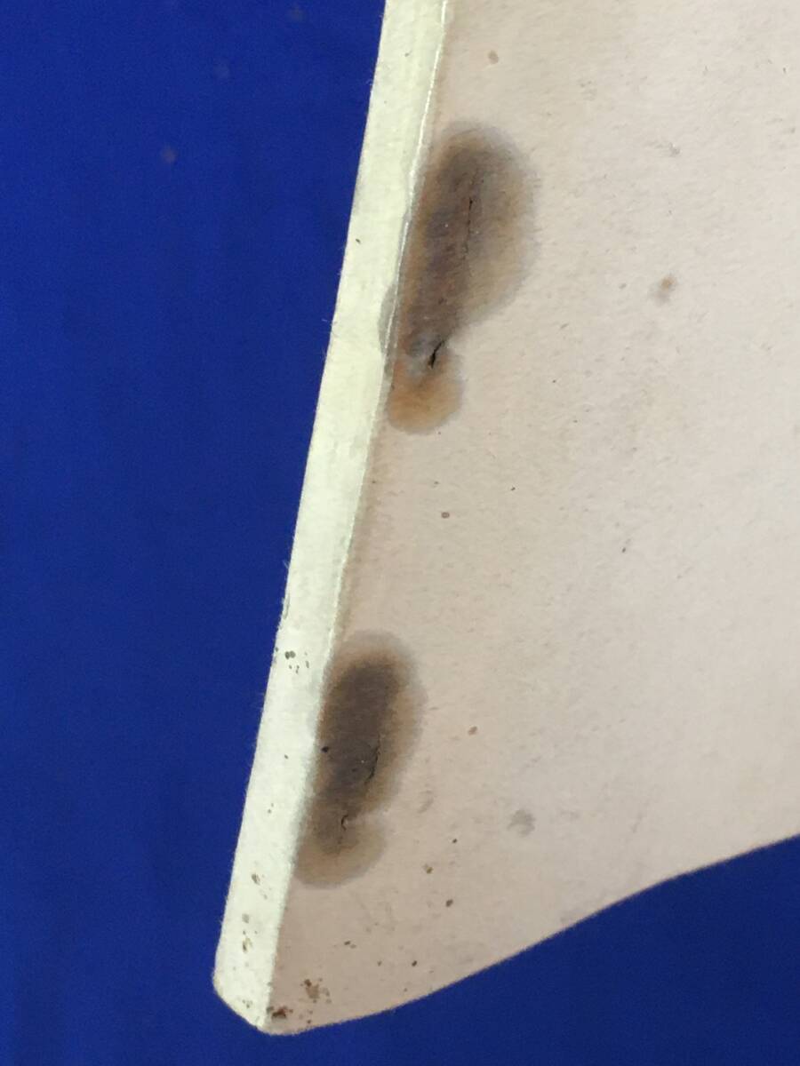 AP795サ◎戦前 明治45年 「木曽の御嶽 附 木曽路案内」 藤森書店 福島街全景他写真多数/古地図/登山の道しるべ/名所/古書_画像10