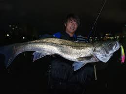 超激レア ブルーブルー アイザー 100F ピンクチャートクリア 新品 村岡昌憲氏秋シーバス爆釣人気ルアー 水温低下攻略ランカーシーバス爆釣_画像10