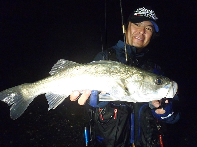 超激レア ブルーブルー アイザー 100F ピンクチャートクリア 新品 村岡昌憲氏秋シーバス爆釣人気ルアー 水温低下攻略ランカーシーバス爆釣_画像9