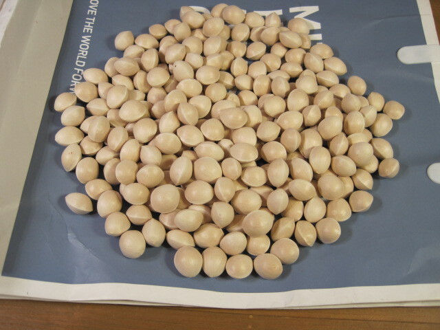 ♪クリックポスト 銀杏　ぎんなん　450ｇ　愛知県稲沢市　（0711）_画像1