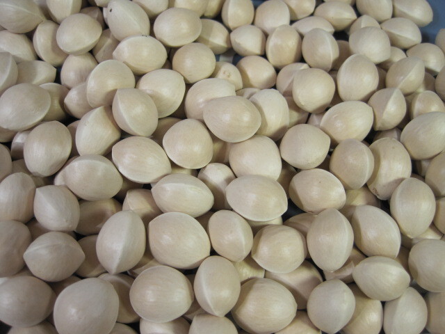 ♪クリックポスト 銀杏　ぎんなん　450ｇ　愛知県稲沢市　（0711）_画像2