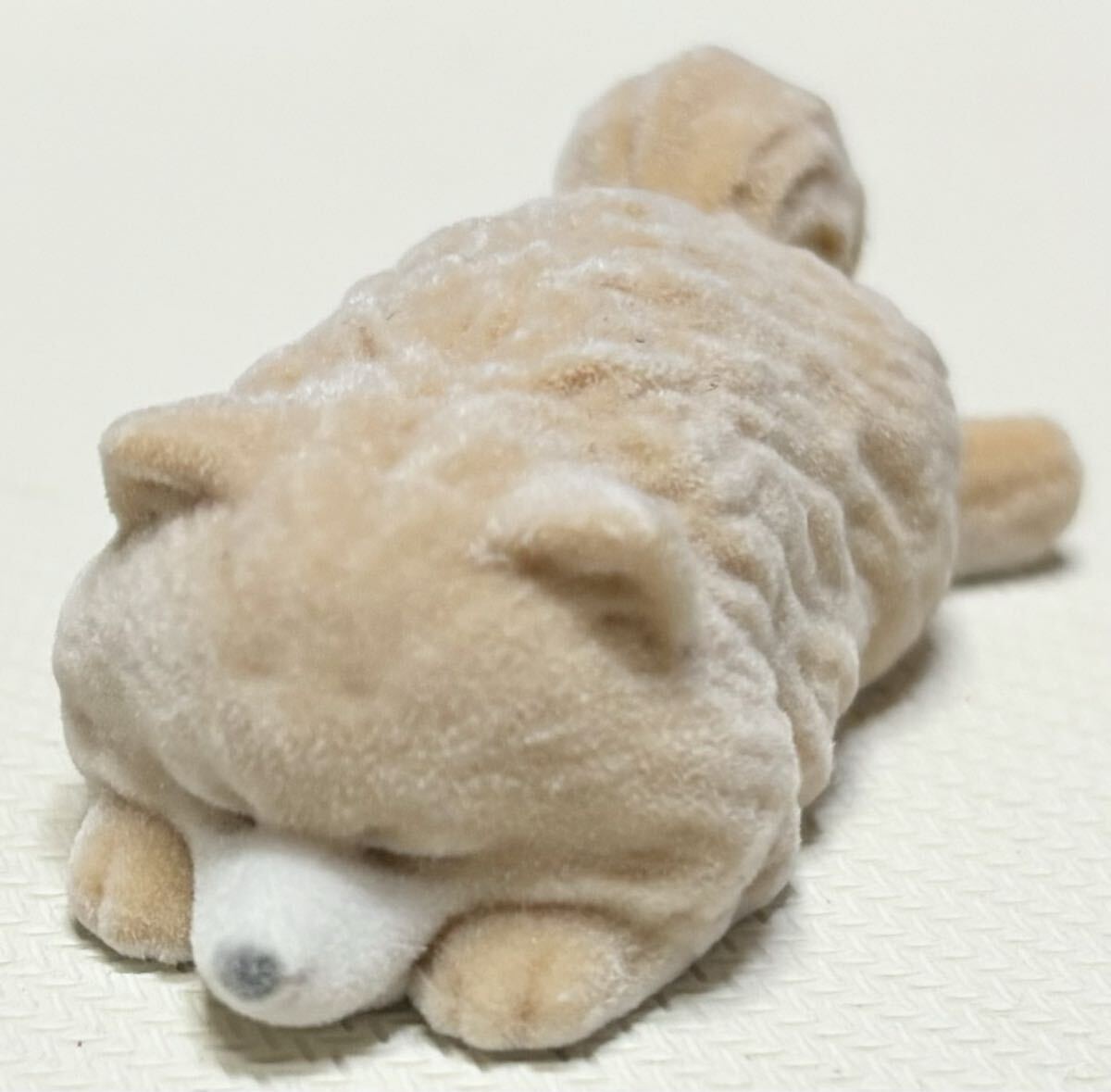 ★T-ARTS もふもふポメラニアン ポメラニアン フロッキー ふて寝 フィギュア 中古_画像1
