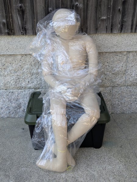 キャンバスドール カレン２ 救命救急医療看護 整体指圧マッサージ セラピストトレーニングマネキン リアルハンドオプション 未開封 161125_画像1