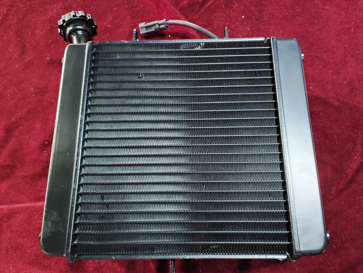 ハーレー　HARLEY-DAVIDSON　X500　LWZX500　ラジエーターキット　品番HD279126280031　納車前に取り外した部品に成ります。_画像1