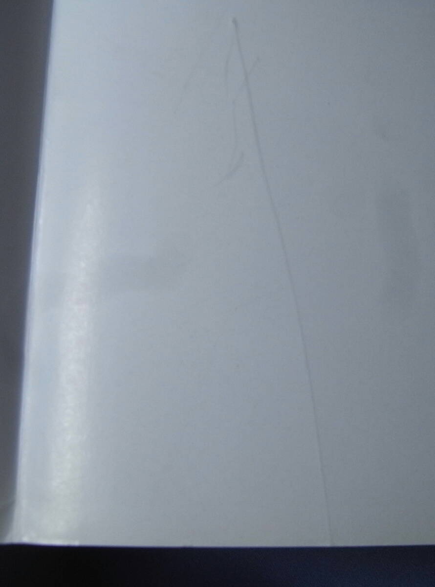 即決●三津谷葉子+奈良沙緒理　写真集 Pure Girl DUO」初版_画像5