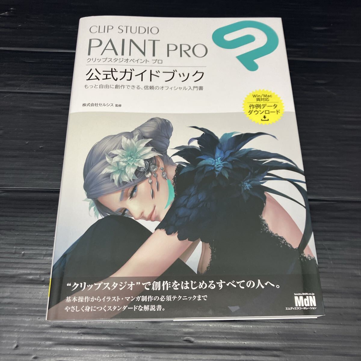 CLIP STUDIO PAINT PRO_画像4