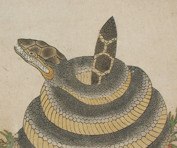 KR600 большой фирма дракон . бог .. большой фирма небо день .. бумага книга@ версия . рука окраска ось оборудование версия . бумага таблица оборудование