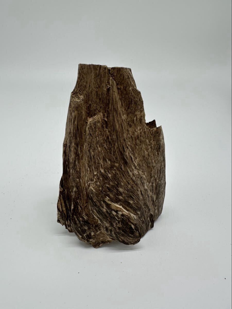 【極上】 高品質 泥 沈香 ベトナム産 23.8g /香木 伽羅 シャム 香道具 仏具 古美術 工芸品_画像1