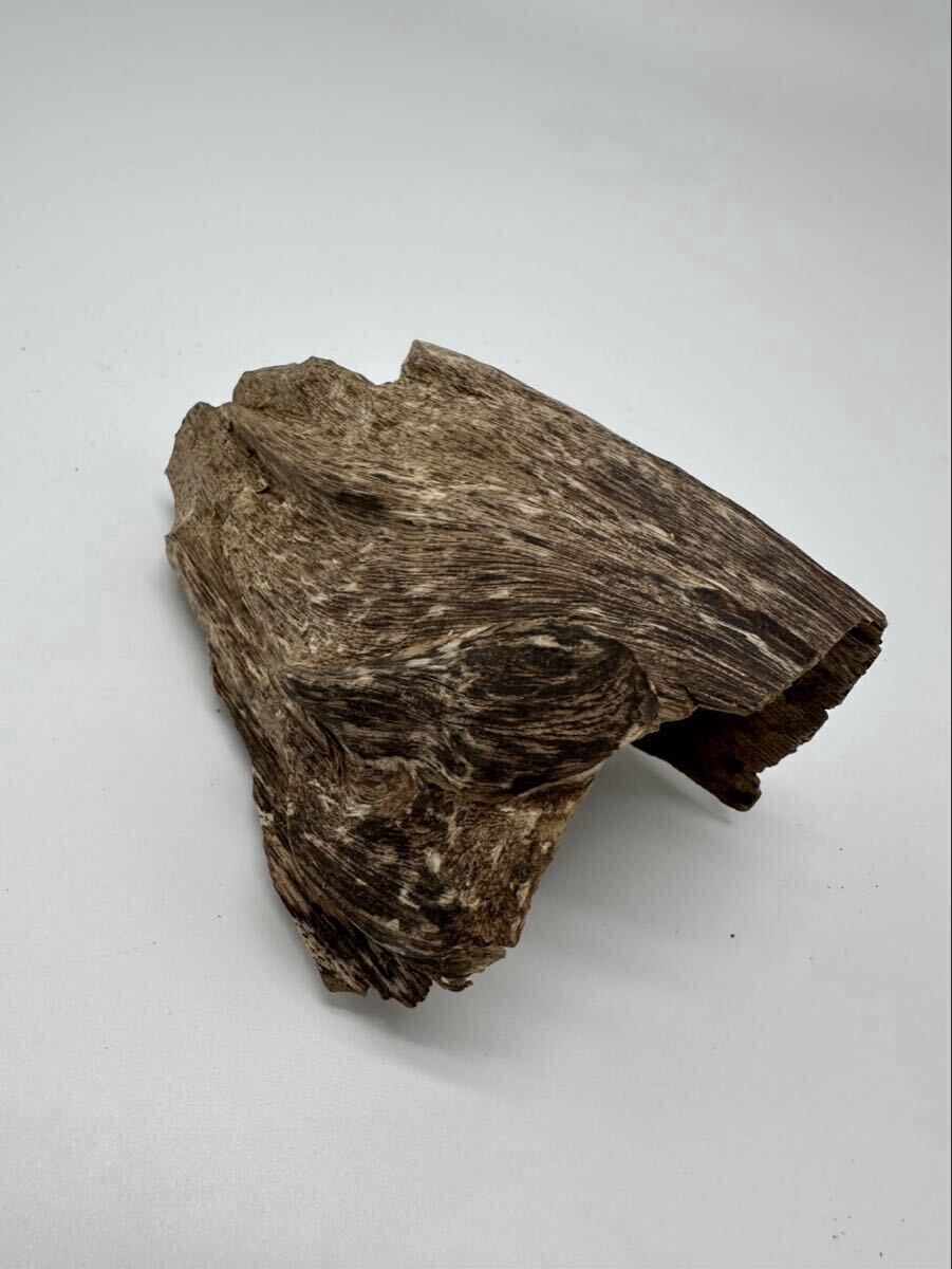 【極上】 高品質 泥 沈香 ベトナム産 23.8g /香木 伽羅 シャム 香道具 仏具 古美術 工芸品_画像6