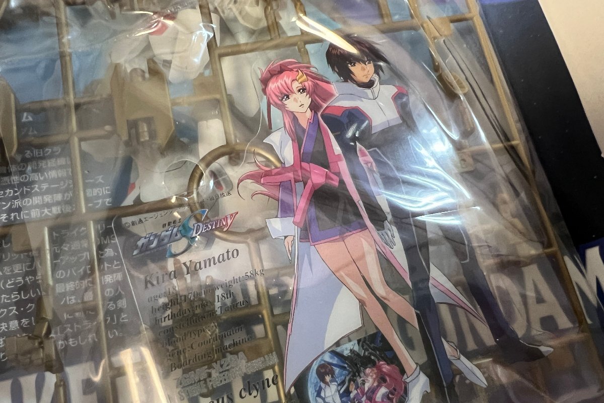 < не собран товар > gun pra 1/100 ZGMF-X20A Strike freedom Gundam Mobile Suit Gundam SEED DESTINY пластиковая модель BANDAI GUNDAM