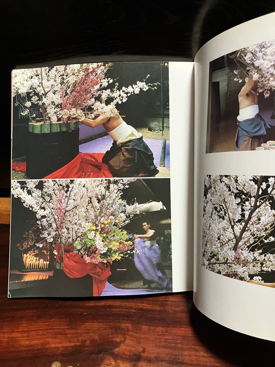花と器 神無書房 白洲正子 川瀬敏郎 生花 花人 侘び寂び 時代 作品集 写真集 たてはな なげいれ 青磁 白磁 竹器 茶道 骨董 古美術_画像7