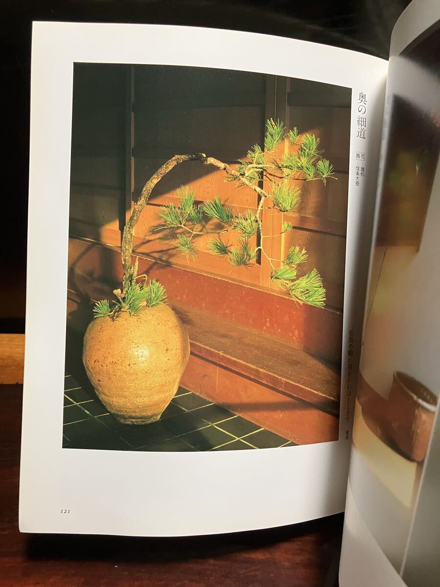 花と器 神無書房 白洲正子 川瀬敏郎 生花 花人 侘び寂び 時代 作品集 写真集 たてはな なげいれ 青磁 白磁 竹器 茶道 骨董 古美術_画像10