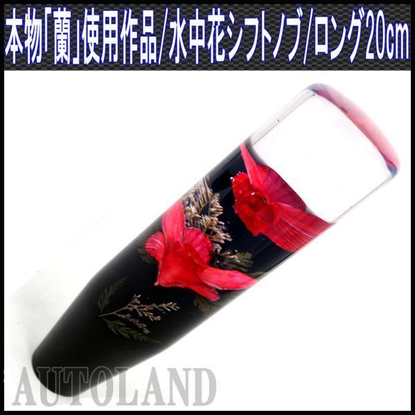 水中花シフトノブ/本物蘭/生花作品/200mm 20cmロング/赤色_画像1