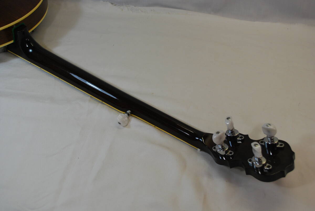 G21* прекрасный товар *Tenesy Jagard* банджо *tenesi- Jaguar do* Japan Vintage * жесткий чехол * стоимость доставки 2600 иен *