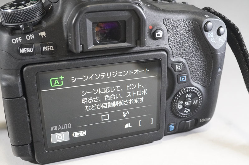 1円~【L819】Canon キャノン EOS 8000D デジタル一眼レフ /EF-S 18-55mm 1:3.5-5.6 /EF-S 55-250mm 1:4-5.6 バッテリー・充電器・取説付_画像4