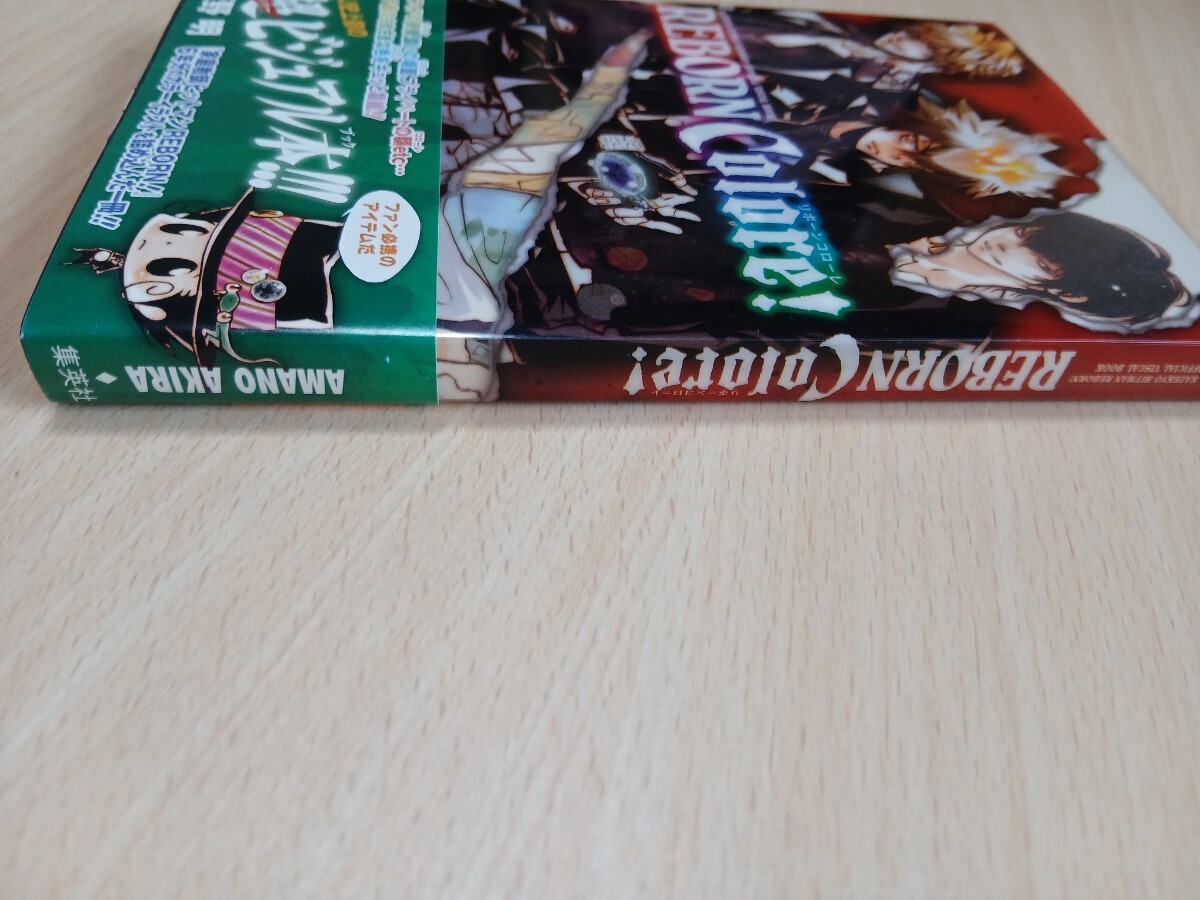 初版 リボーンコローレ 超ビジュアルブック 家庭教師ヒットマンREBORN 帯付 シール付き_画像6