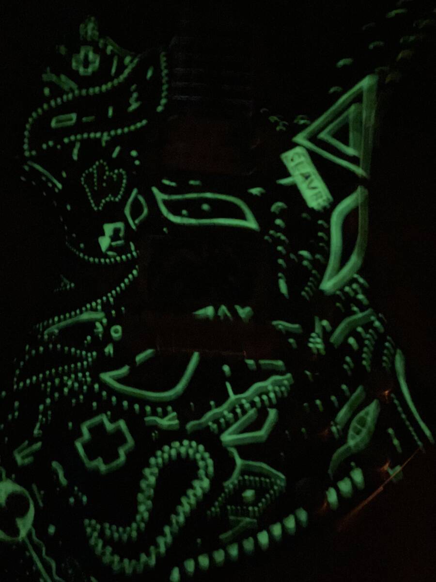 【アメーバペイズリーペイント】フェルナンデス MG-70X hideモデル　_画像5