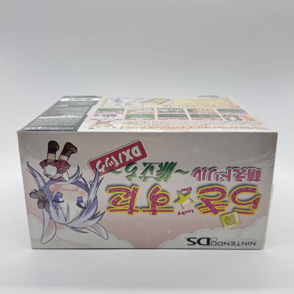 ★未開封品★【DS】真らき☆すた 萌えドリル 旅立ち DXパック 限定版 (Lucky Star) / 任天堂 ニンテンドー / 新品 美品 / コレクション品_画像6