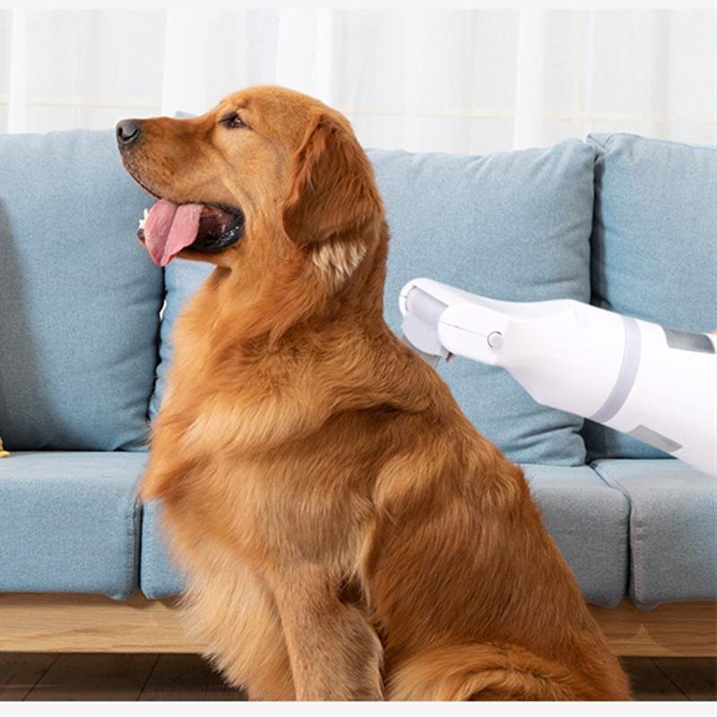  блохи брать . контейнер для домашних животных ... брать .. электрический собака кошка для удобно блохи ..silami яйцо удаление блохи удаление silami меры 