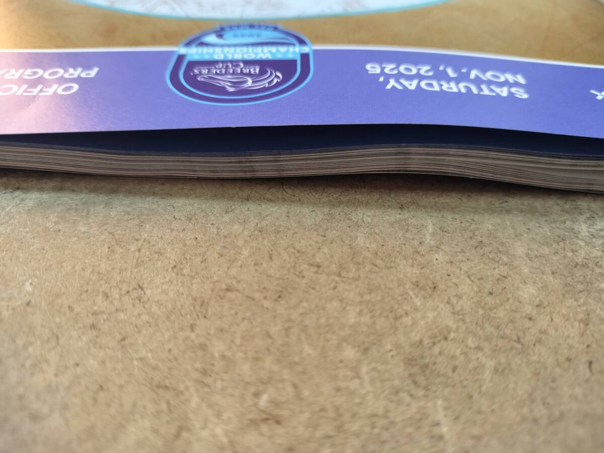 送料無料 アルジーヌ 競馬 2025 米ブリーダーズカップマイル 現地単勝馬券 レープロ付 デットーリ米最終騎乗 ロードHC フォーエバーヤング_画像8