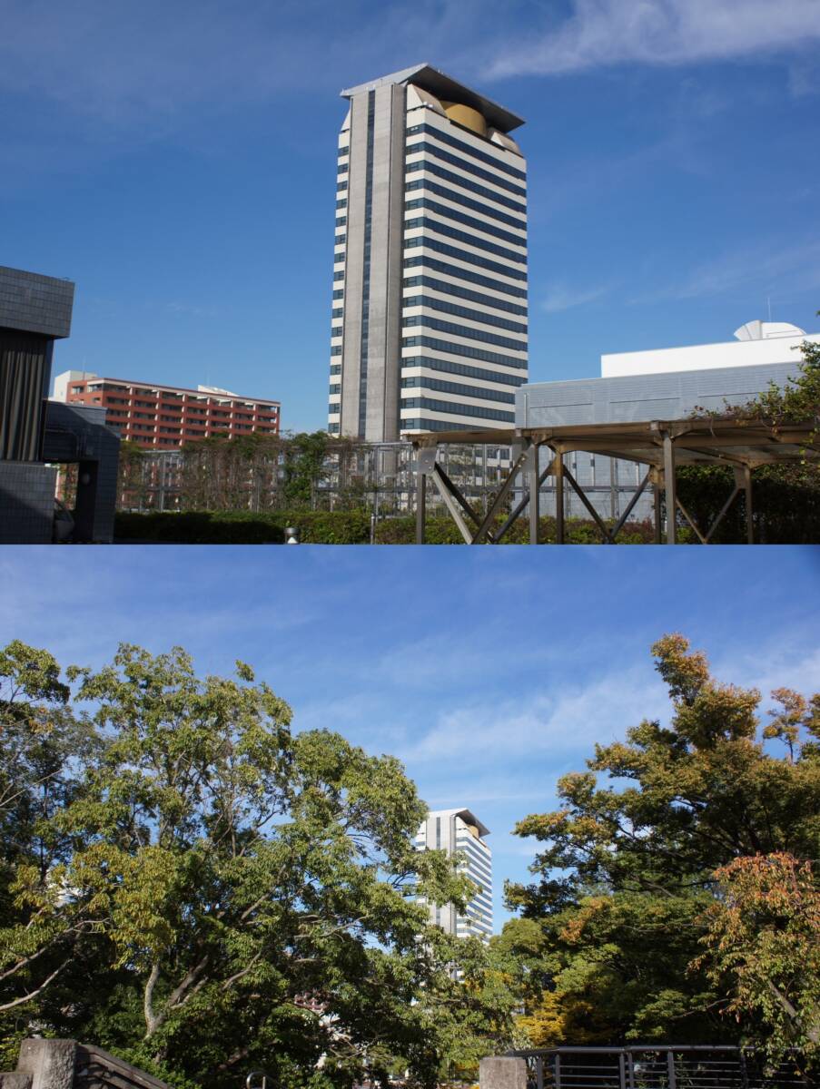 ★☆SONY デジタル一眼レフカメラ α55 DT 18-70 ☆★_画像10