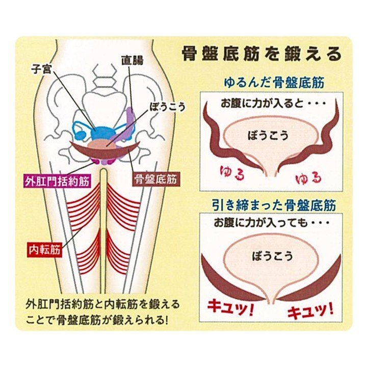 （コジット）ゆるみ対策スリッパ キュキュッパ レッドＭ 骨盤底筋 健康 体幹 ダイエット スリッパ ゆるみ 鍛える 内転筋_画像4