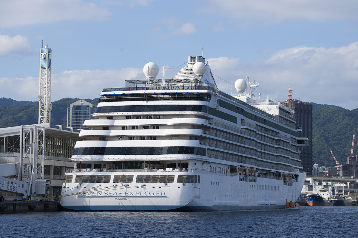 SONY α900 DSLR-A900 + VG-C90AM　縦位置グリップ付き　動作確認済み　極上品 _画像8