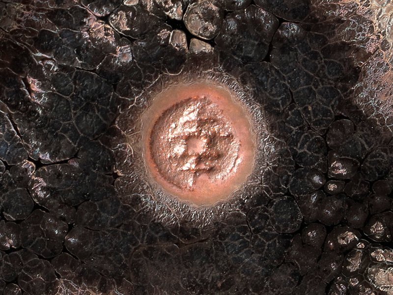 【古美味】鎌田幸二 窯変銀漿天目香炉 茶道具 保証品 C3Hm_画像5