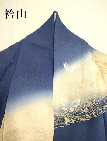 平和屋着物▼訪問着　舞蝶文　暈し染め　金銀彩　正絹　逸品　DAAX8307du_画像9